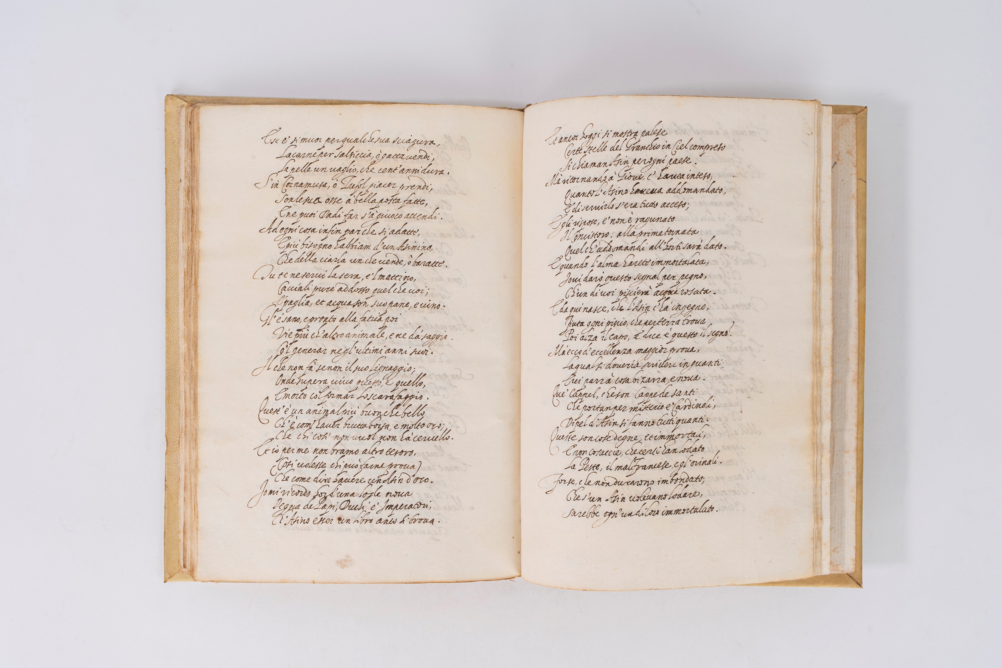 Ragionamento sovra del asino