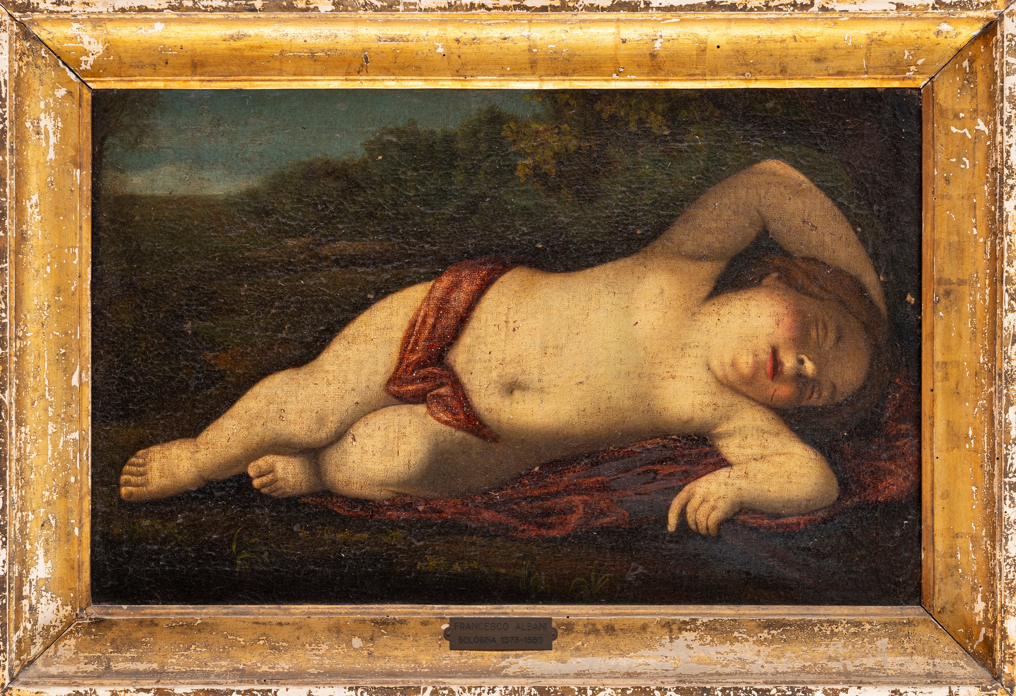 Scuola Emiliana, Secolo XVII - Attribuito a Albani, Putto dormiente, olio su tela