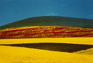 Paesaggio