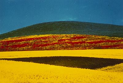 Paesaggio - Cibachrome vintage, cm 10 x 15 (1995)