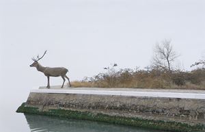 Fantasmi #0 (il cervo)
