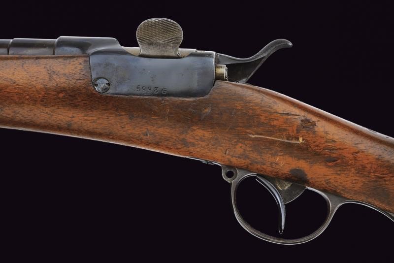 Fucile Werndl Extracorps Gewehr Mod. 1873/77