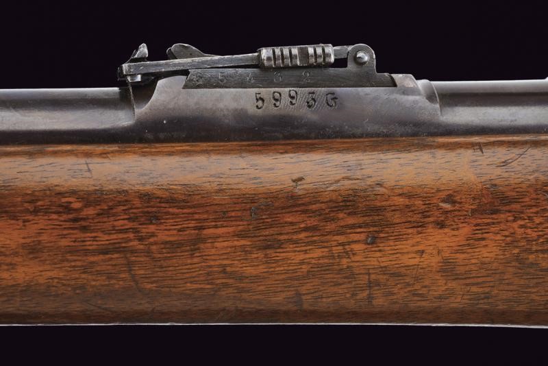 Fucile Werndl Extracorps Gewehr Mod. 1873/77