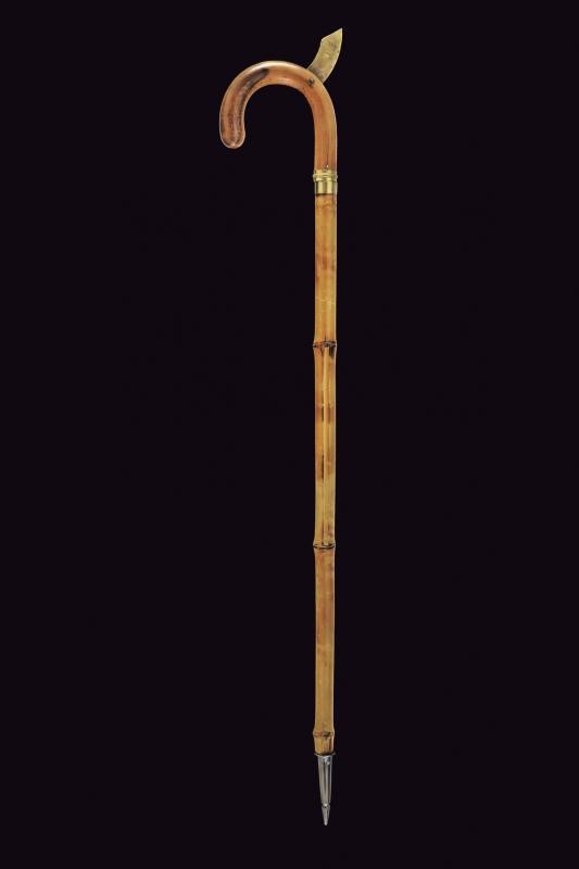 Raro bastone da pirsch