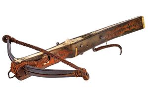 A remarkable hunting and target crossbow