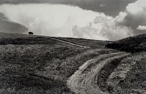 Senza titolo, dalla serie "Road"