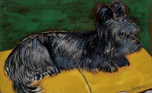 Ritratto di Xeno, cane meraviglioso