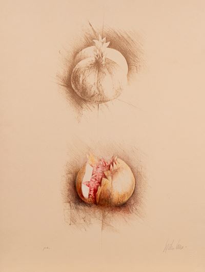 Melograno, litografia a colori