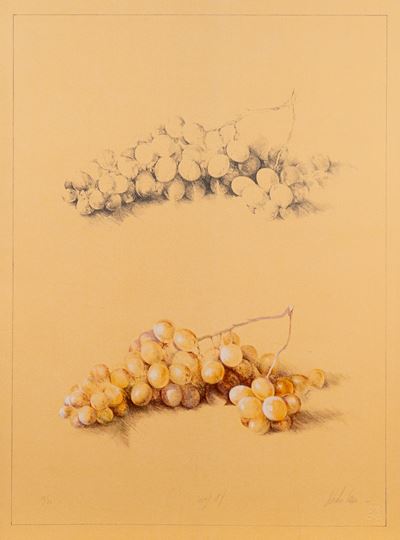Uva, litografia a colori, es. 13/20