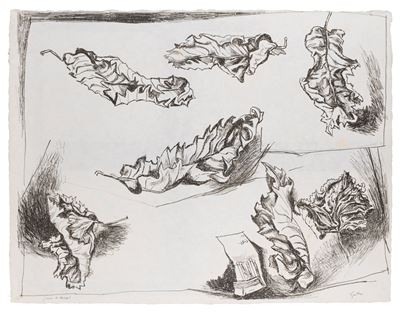 Foglie - Litografia su carta Japon, prova di stampa