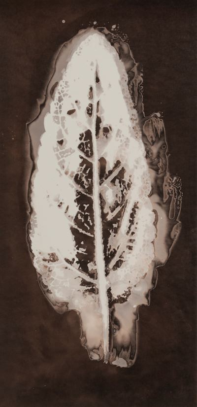 Senza Titolo (chimigramma)