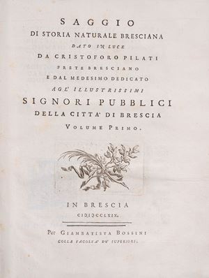 Essay on Brescia&#39;s natural history