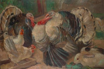 Animali da Cortile