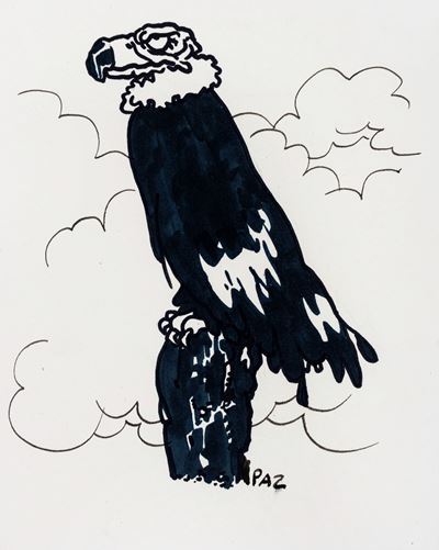 Bestiario - Condor