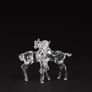 Puledri "Foals Clear" 