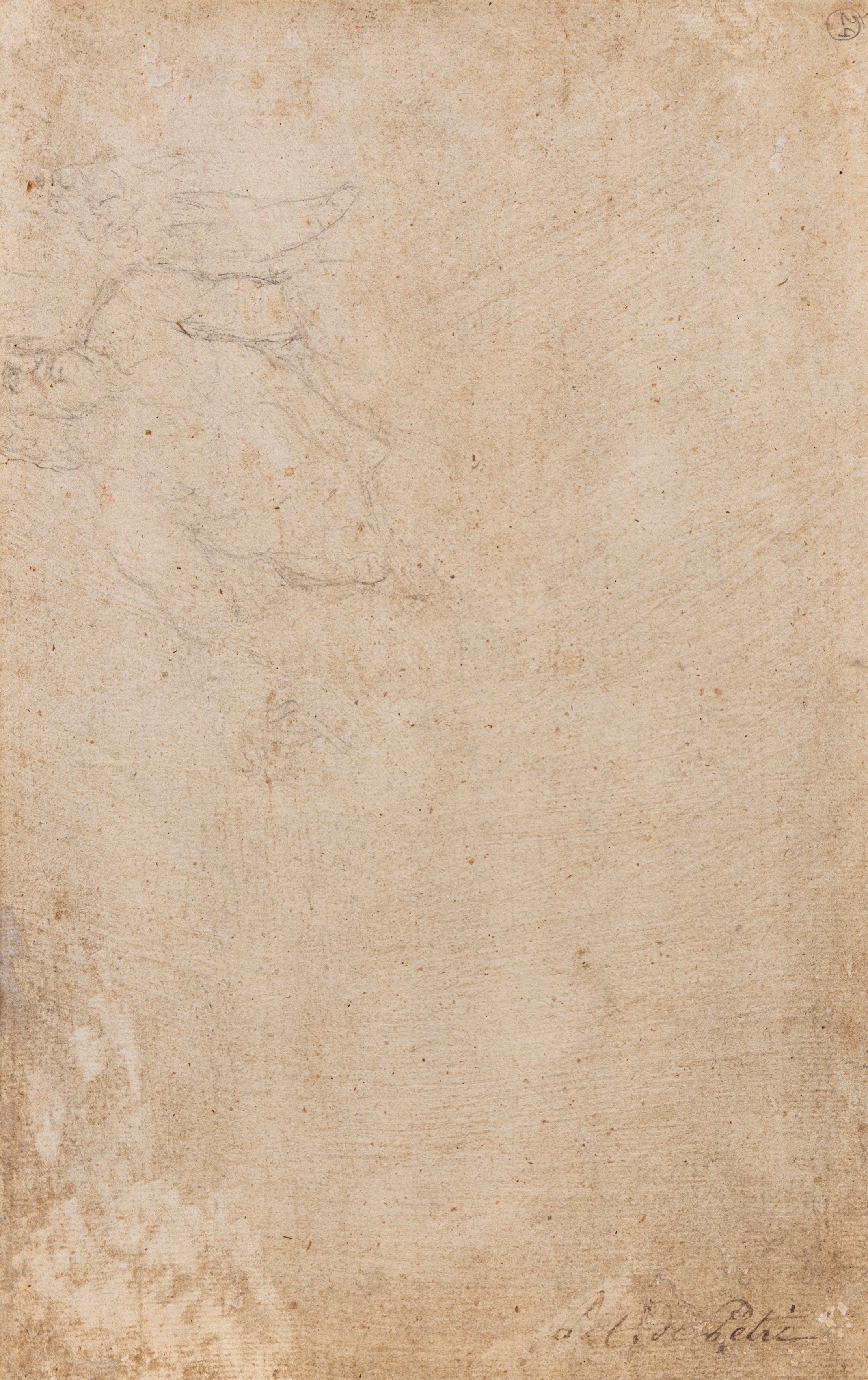 Vergine con il Bambino, Sant'Antonio, San Lorenzo e altro santo