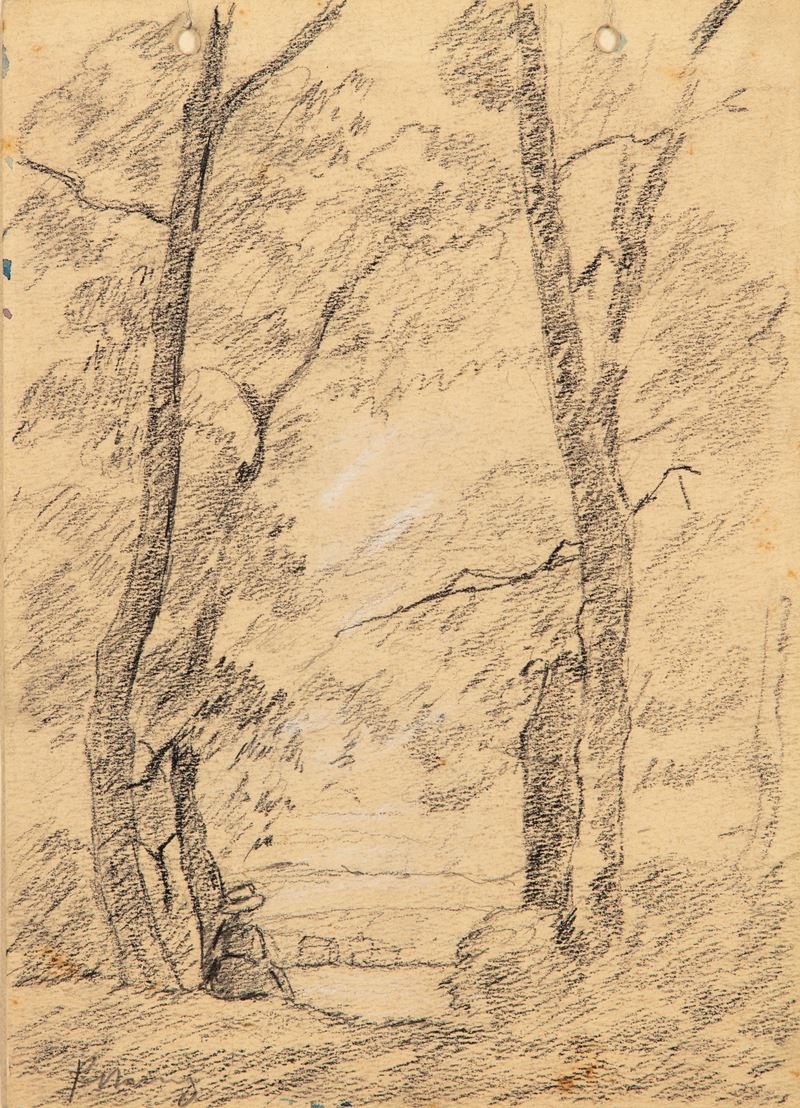 Figura seduta nei boschi