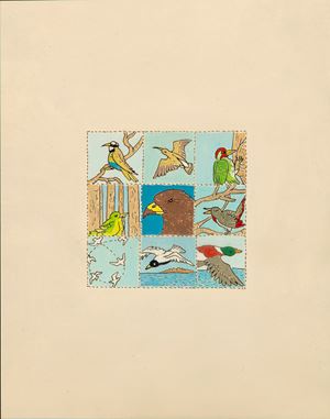 Dal cardellino all'anitra: "Uccidete il rapace!"