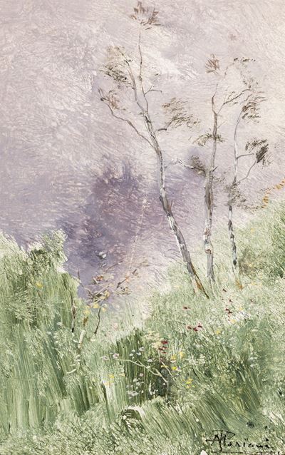 Alberi nella Tempesta