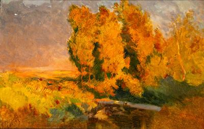 Alberi al Tramonto