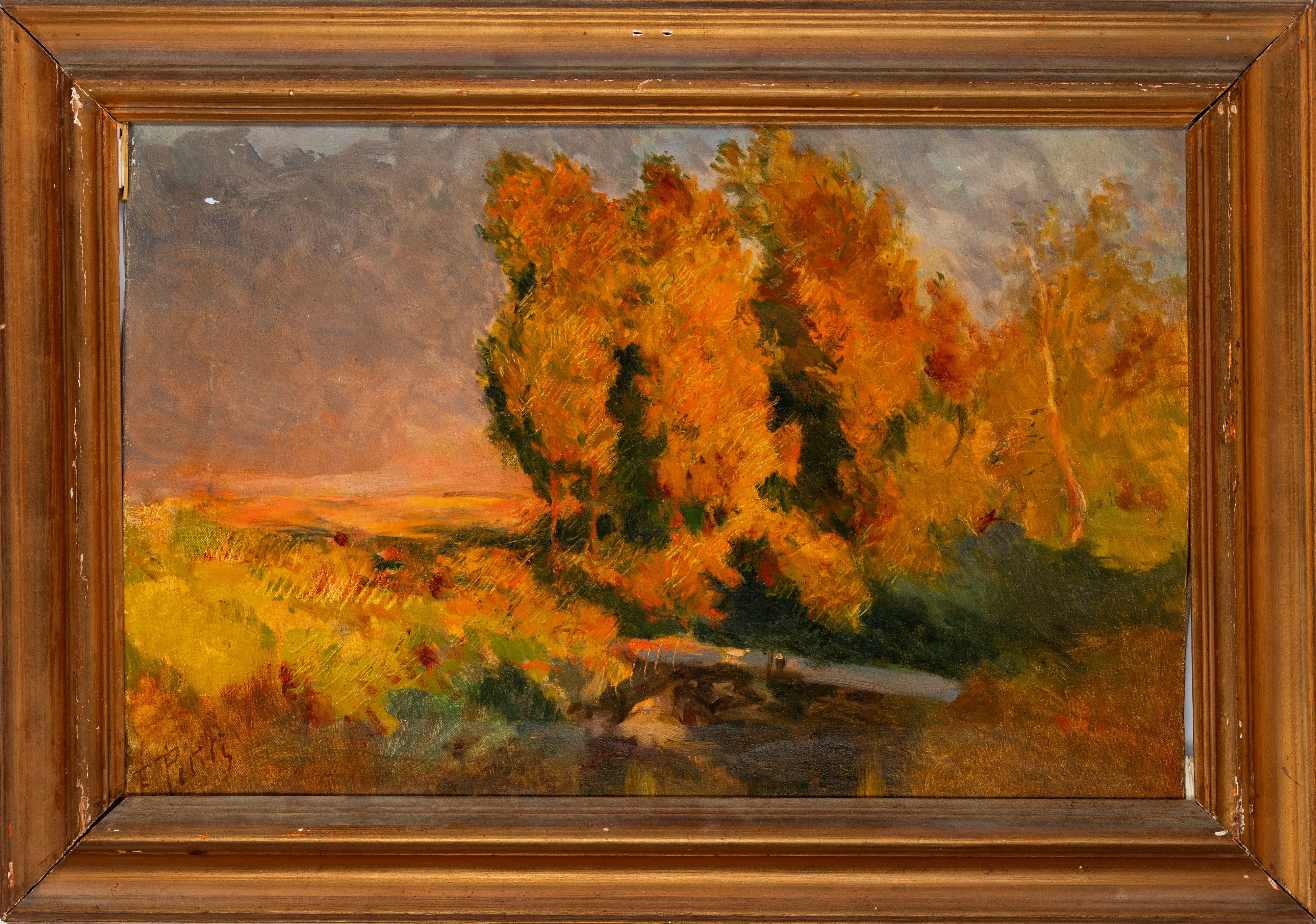 Filiberto Petiti - Alberi al Tramonto