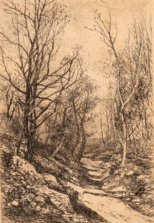 Sentiero nel bosco