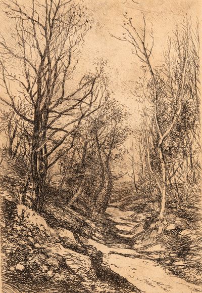 Sentiero nel bosco, acquaforte