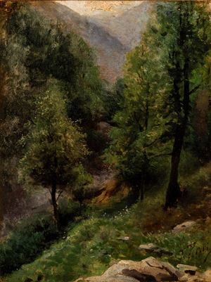 Bosco di montagna