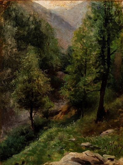 Bosco di montagna