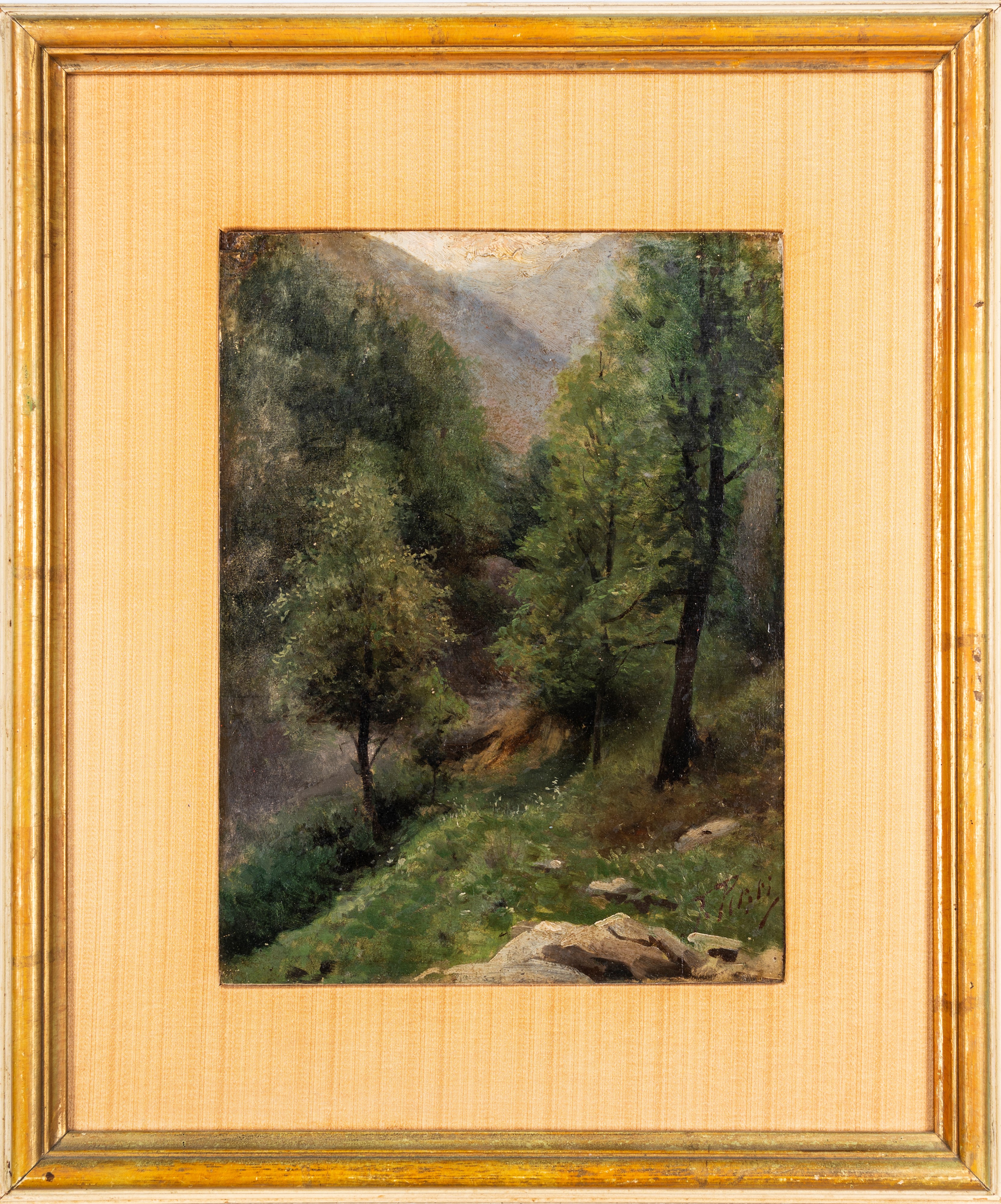 Filiberto Petiti - Bosco di montagna