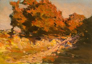 Sole d'autunno