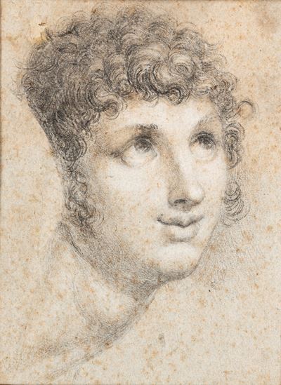 Studio per Volto di Giovane