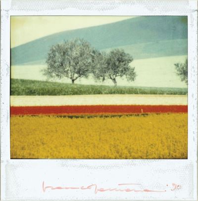 Senza titolo (Polaroid), 1990