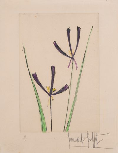 Iris, acquaforte acquatinta a colori