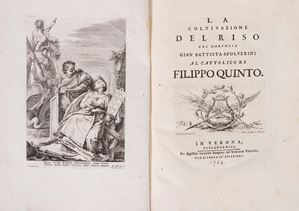 La coltivazione del riso