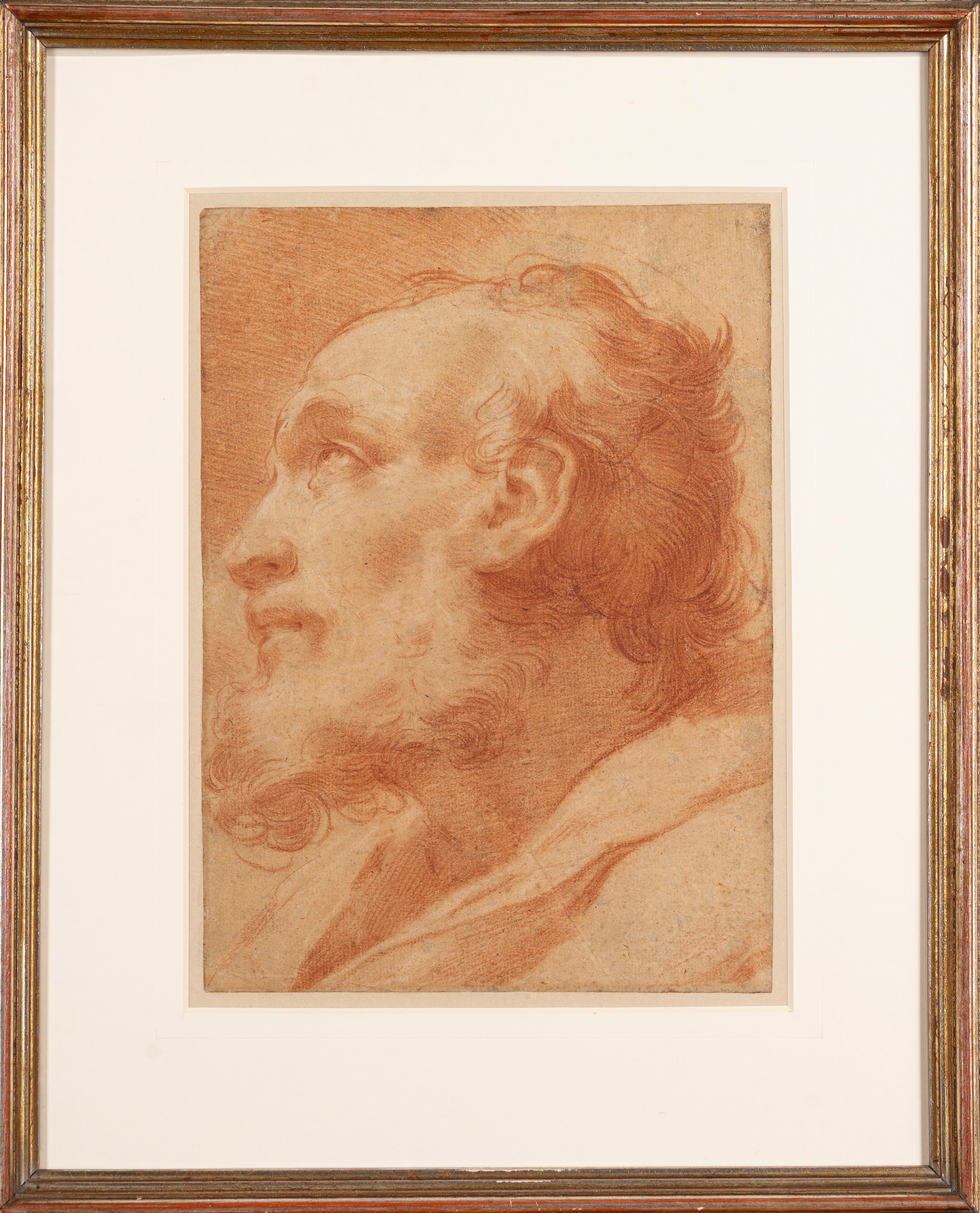 Gaetano Gandolfi - Testa di apostolo, matita rossa su carta