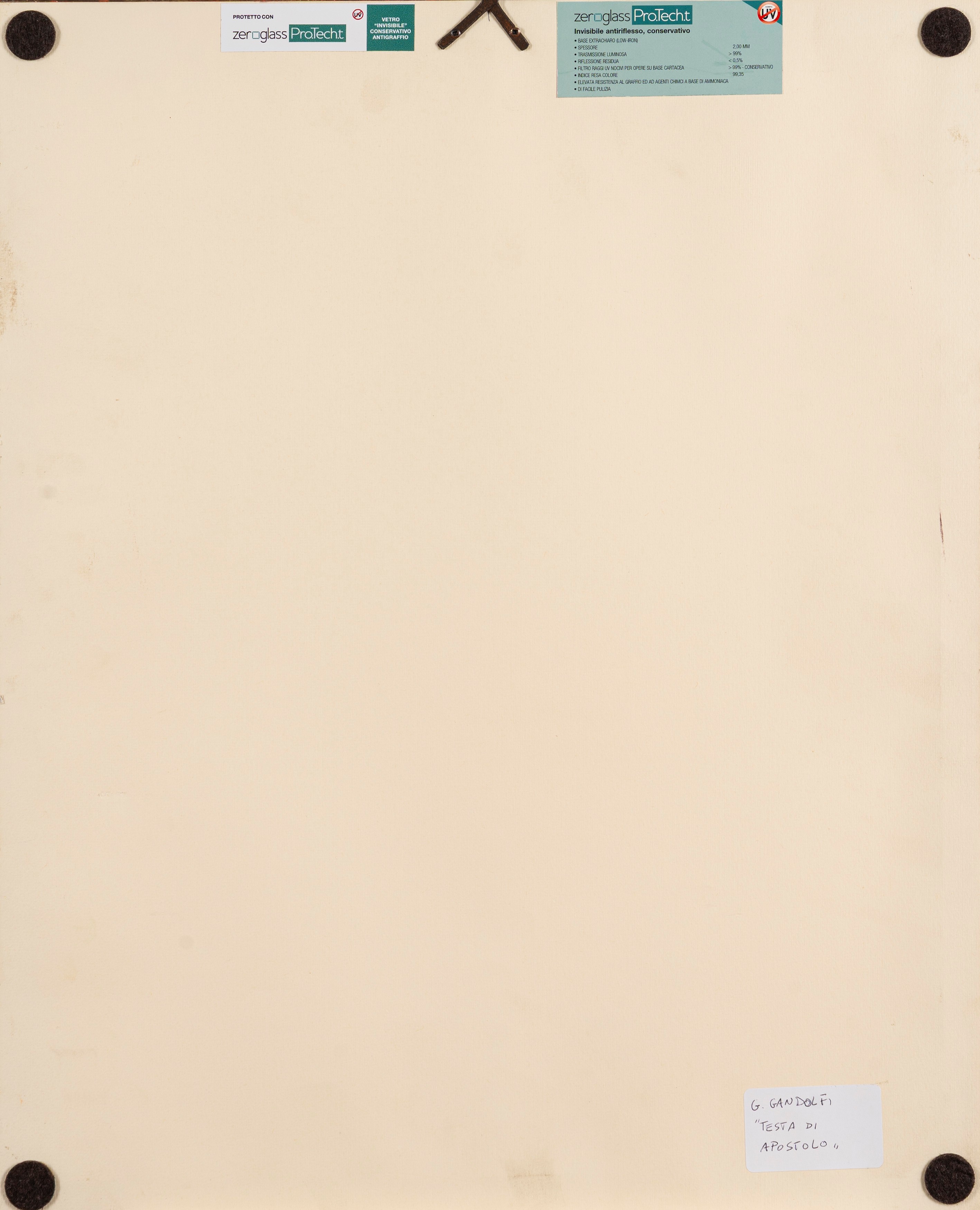Gaetano Gandolfi - Testa di apostolo, matita rossa su carta