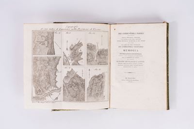 Dei combustibili fossili esistenti nella provincia veronese, Memoria mineralogico-economica, 1816