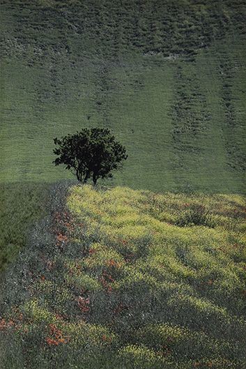 Paesaggio, 1991 Vintage C-print CM 40 X