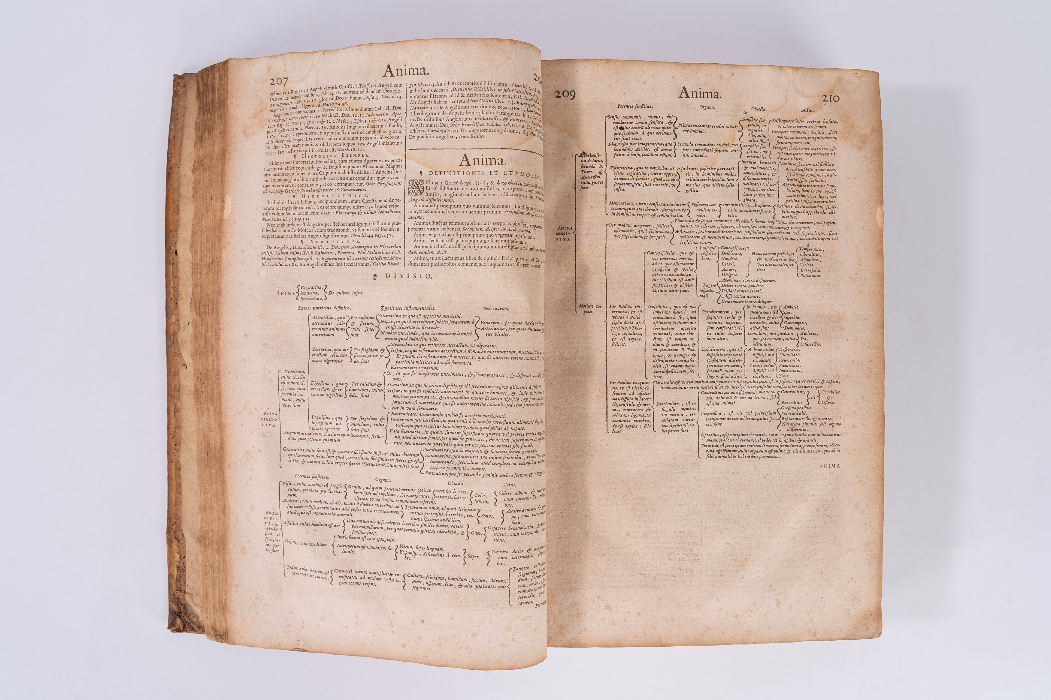 Joseph Lang - Florilegii Magni, seu Polyantheae floribus nouissimis sparsae, libri XX, 1625