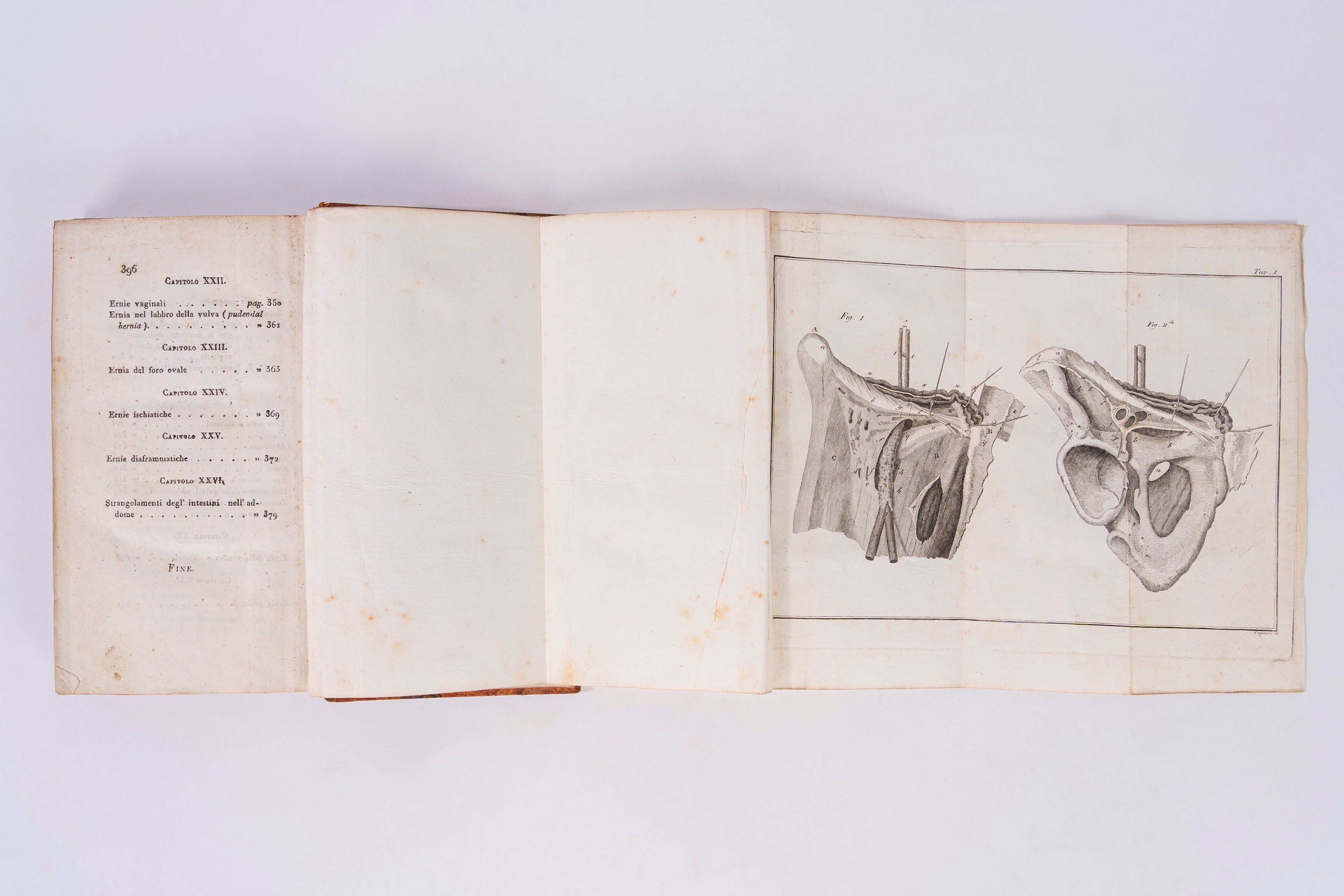 Carmine Vincenti - Istituzioni di epidesmologia, Prima edizione, 1817