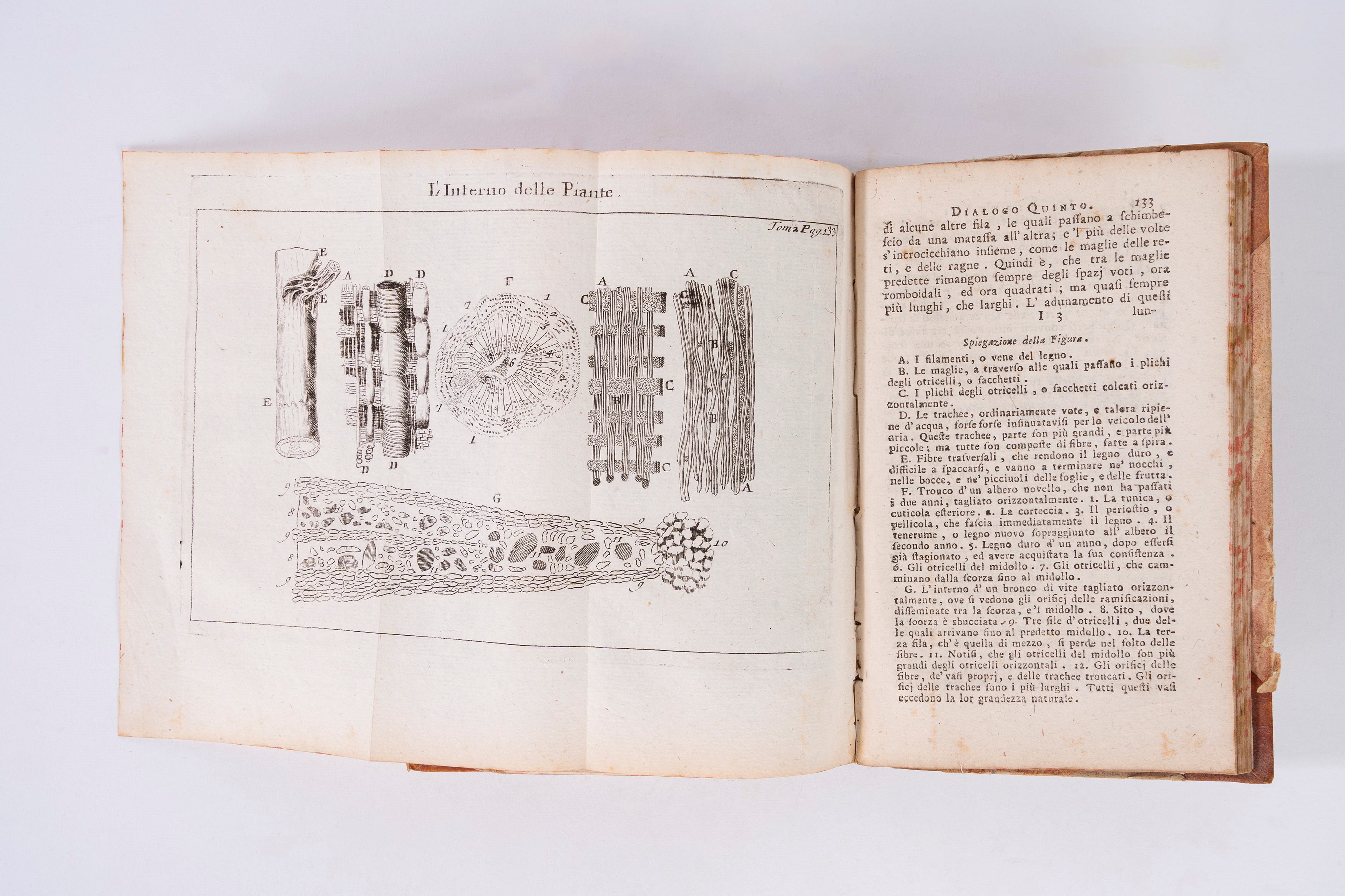 Nöel Antoine Pluche - Lo spettacolo della natura, Quinta edizione, 1786, 14 tomi in 7 volumi