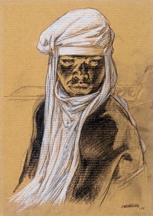 Tra le seducenti sabbie del deserto