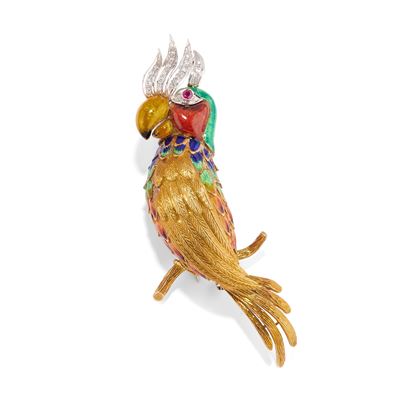 Spilla Pappagallo