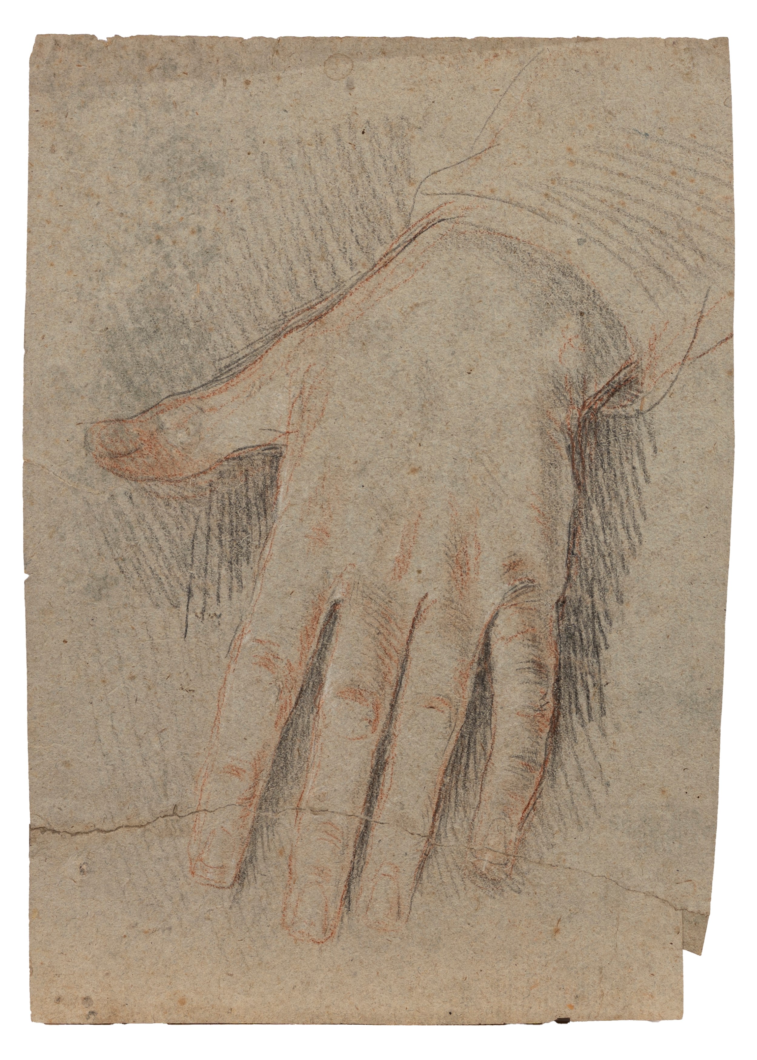 Scuola del Secolo XIX - Studio di mano, matita rossa e carboncino su carta
