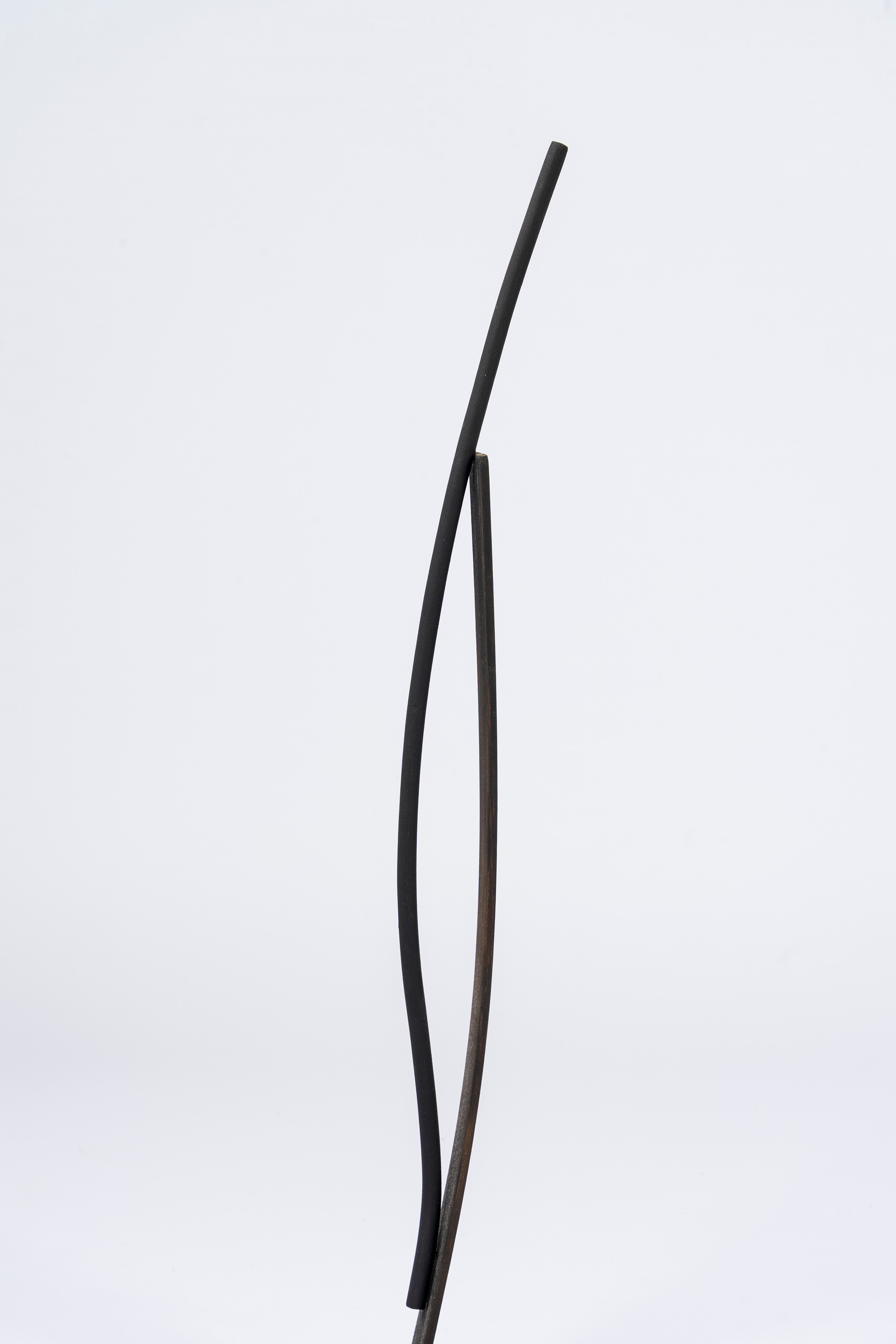 Roberto Almagno - Senza titolo, legno dipinto