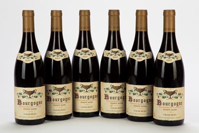 Coche-Dury, Bourgogne Pinot Noir, 6 bottiglie, 2017