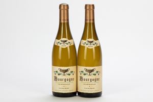 Coche-Dury Bourgogne Chardonnay (2 Bt)