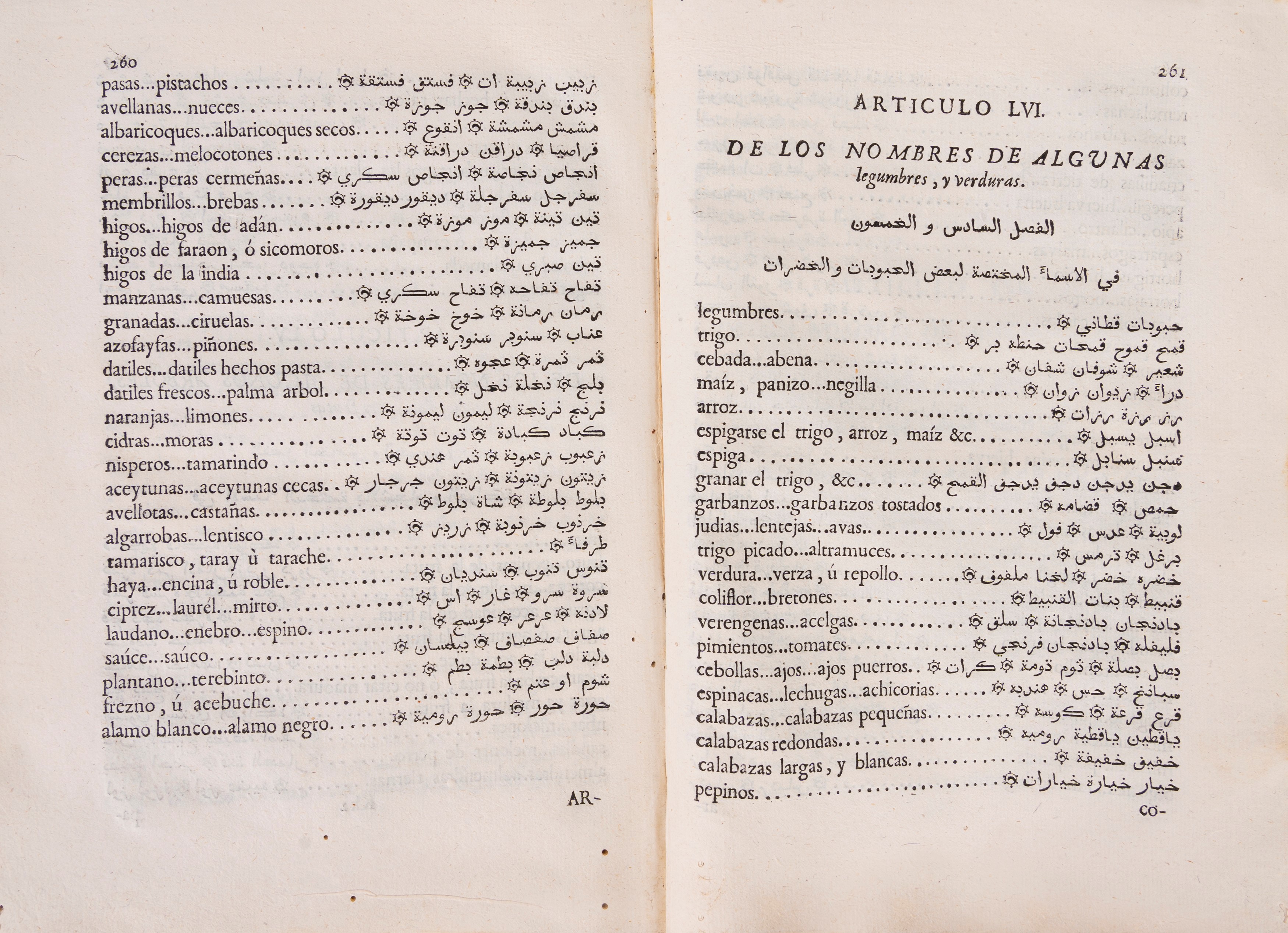 Francisco Cañes - Grammatica Arabigo-Española e dizionario con testo della Dottrina Cristiana