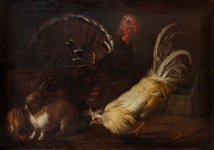 Tacchino, gallina e conigli